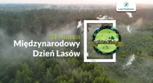 Międzynarodowy Dzień Lasów 2025