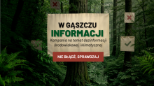 PBS dla Lasów Państwowych: 21% Polaków sądzi, że drewno można pozyskać nie wycinając drzew